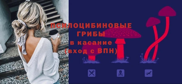 PSILOCYBIN Алзамай