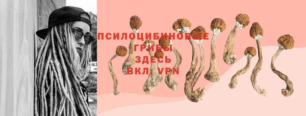 синтетический гашиш Алексин
