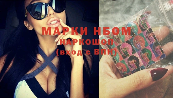 PSILOCYBIN Алзамай