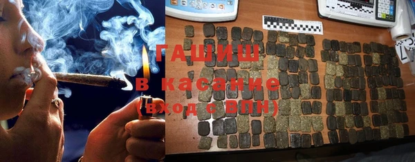 PSILOCYBIN Алзамай