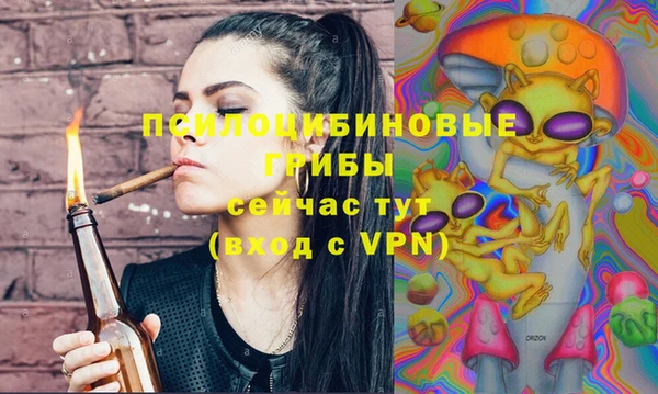 PSILOCYBIN Алзамай