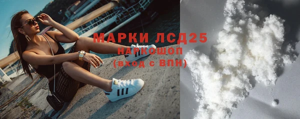 PSILOCYBIN Алзамай