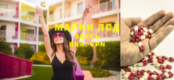 PSILOCYBIN Алзамай